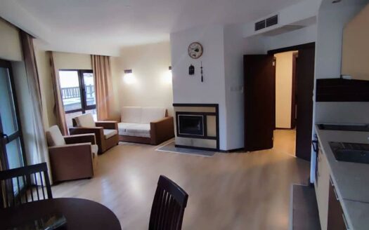 Простор и комфорт трехкомнатного апартамента с живописным видом в Банско