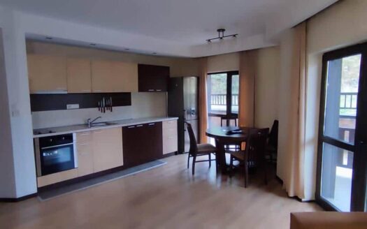 Простор и комфорт трехкомнатного апартамента с живописным видом в Банско