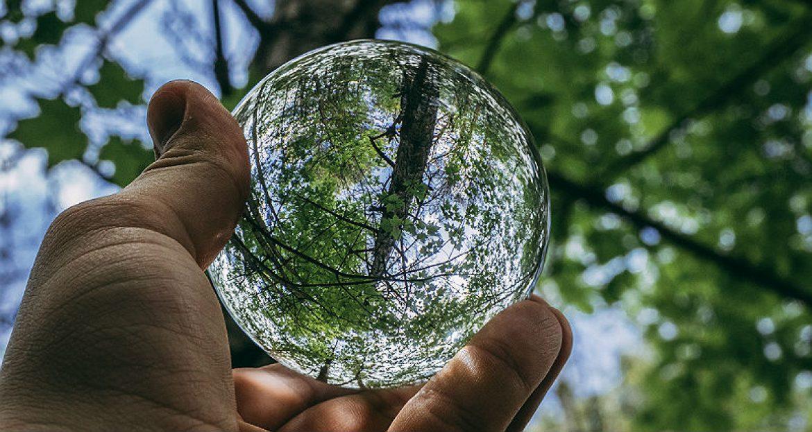 Охрана окружающей среды и устойчивое развитие региона