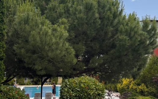 Просторный апартамент для большой семьи рядом с пляжем в Святом Власе в комплексе Миллениум