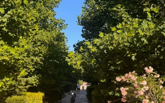 Просторная трёхкомнатная квартира в современном комплексе на Солнечном Берегу — комплекс Каскад