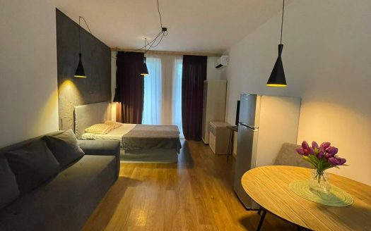Studio after renovation in Sunny View Central, Sunny Beach ID: 83707
