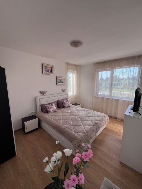 video image