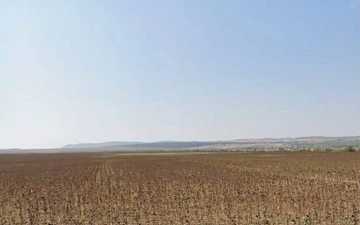 Земельный участок 14 000 кв.м в селе Горица ID: 105312